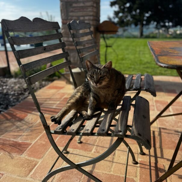 PHOTO-2025-04-28-09-50-01