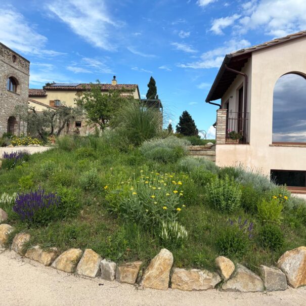 PHOTO-2025-05-17-06-35-27